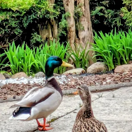 Guenther 92qm Semesterbostad Waren (Mueritz)