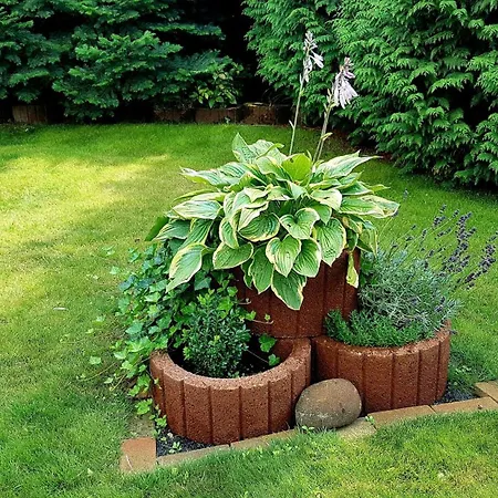 Guenther 92qm Semesterbostad Waren (Mueritz)