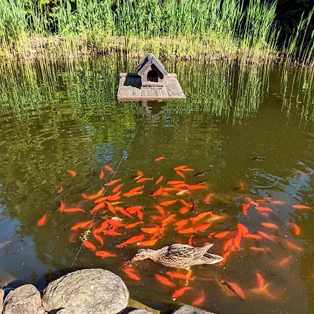 Guenther 92qm Semesterbostad Waren (Mueritz)